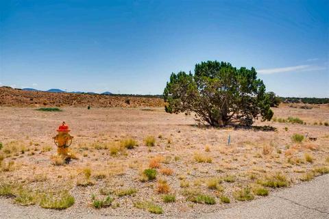 30 Blue Feather, Santa Fe, NM 87508 photo 10
