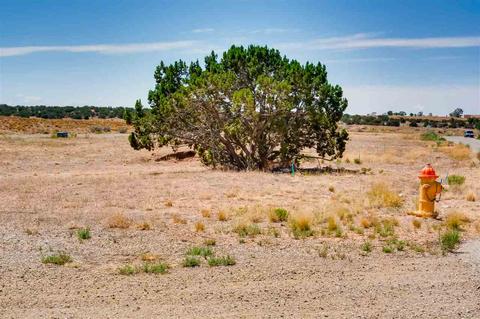30 Blue Feather, Santa Fe, NM 87508 photo 11