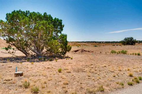30 Blue Feather, Santa Fe, NM 87508 photo 9