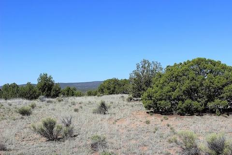 1 Calle Arbusto, Santa Fe, NM 87506