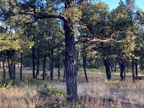 3 Dancing Hawk Dr, Pecos, NM 87552