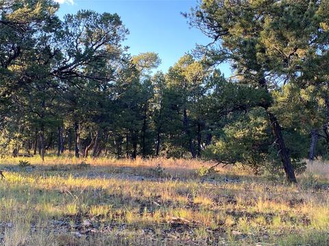 47 Silver Feather Trl, Pecos, NM 87552