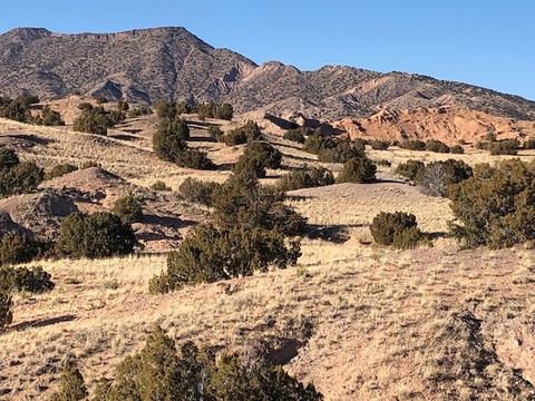 lot S 373839 Block 45, Medanales, NM 87548