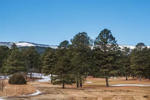 lot94 Camino Facil, Rociada, NM 87742