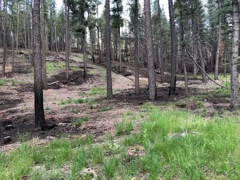 lot71 Pendaries Village Subdivision 4-2 Ext, Rociada, NM 87742