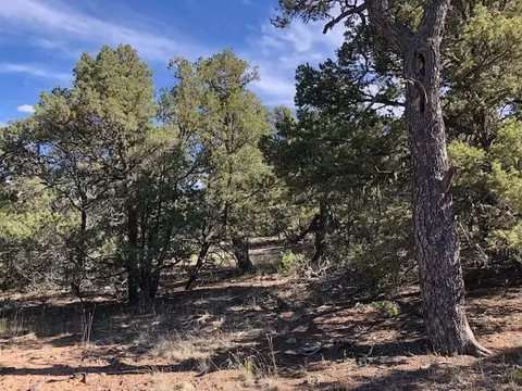 0 24 Acre Portion Of #LOT 70, Tres Piedras, NM 87577