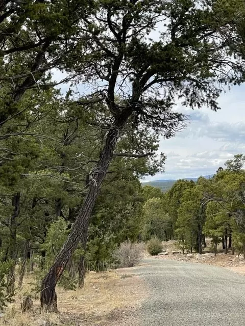 16 Wild Wings Cir, Pecos, NM 87552