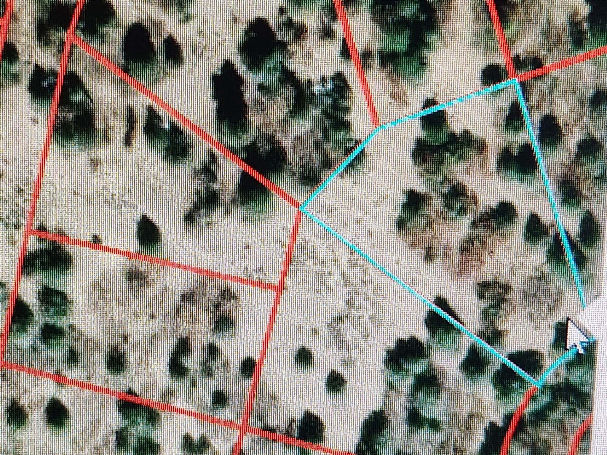 Block 24 Lot 10 Tzama Division  
