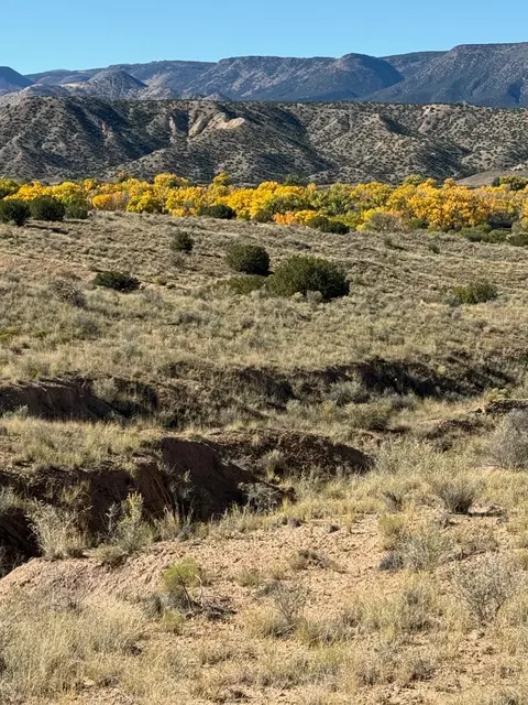 tbd Duane St, Abiquiu, NM 87510