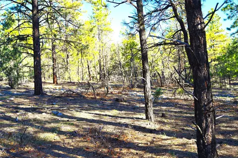 00 Tierra Bonita Sd, Tierra Amarilla, NM 87575