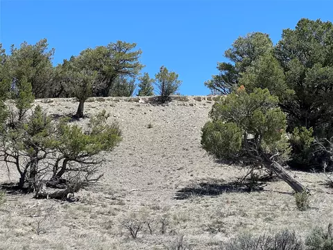 tbd Buena Vista Rd, Tierra Amarilla, NM 87575