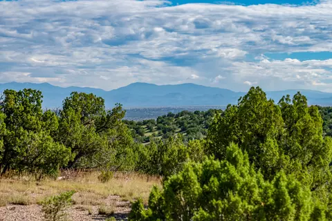 95 Grenfell Ranch 30 Blue Agave, Cerrillos, NM 87010