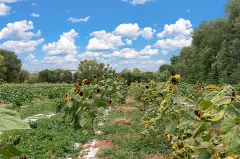 0 Wallace Ln, Corrales, NM 87048