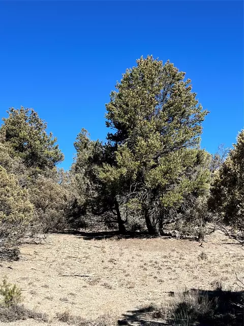 0 Willow Crk, Los Ojos, NM 87551