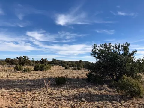 11 Anza Road, Corona, NM 88318