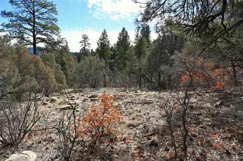 00 Bear Rd Cr 322 UNIT D-1  12, Tierra Amarilla, NM 87575
