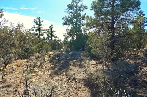 00 Venado Dr Cr 322 UNIT D-1  79, Tierra Amarilla, NM 87575