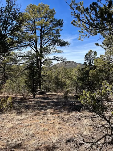0 La Posta Way #TRACT 7-1, Santa Fe, NM 87505