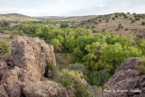 Pitchfork Ranch, Silver City, NM 88061