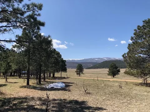 lot65 Patron Rd, Rociada, NM 87742