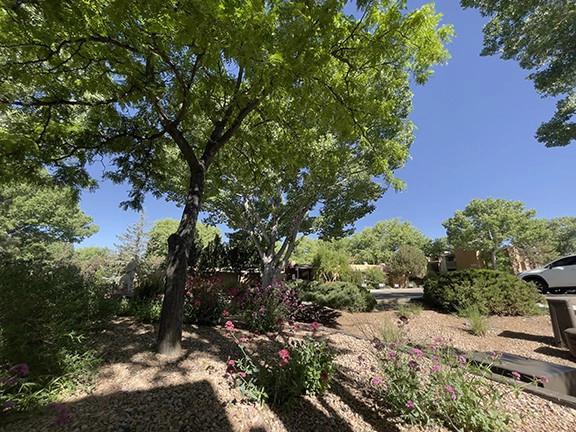 941 Calle Mejia #1310, Santa Fe, NM 87501 | 23 Photos - Movoto
