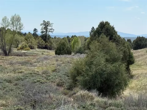 0 Porky Gulch, Chama, NM 87520