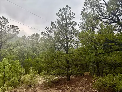 1 Acre Highway 63, Pecos, NM 87552