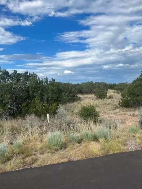 6 Windridge, Santa Fe, NM 87506