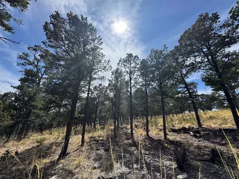 lot25 Birds Of A Feather, Pecos, NM 87552