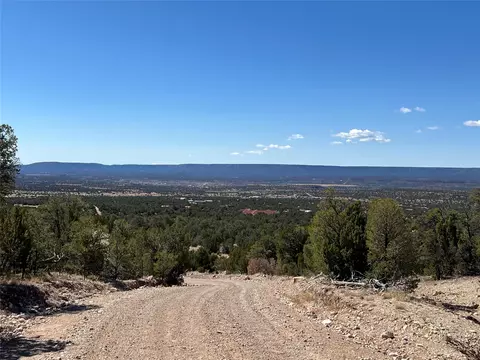 239 1 Acres, San Jose, NM 87569