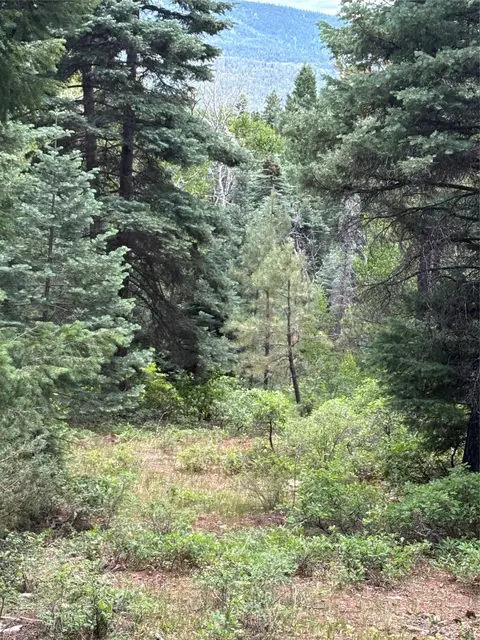 tbd Spruce Trl #LOT 2, Chama, NM 87520