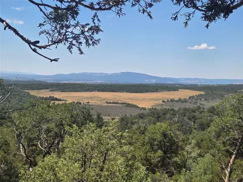 lot16 Unit 4, Tierra Amarilla, NM 87575
