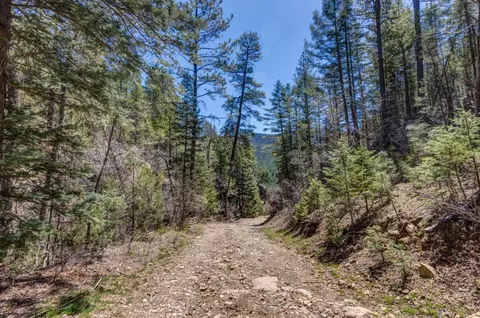 38 43 Acres Sawyer Mesa, Pecos, NM 87573