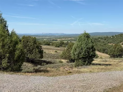 196 Cr 341, Chama, NM 87520