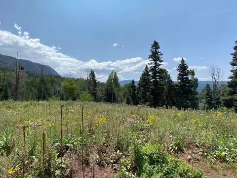 0 Aspen Blf #5, Chama, NM 87520