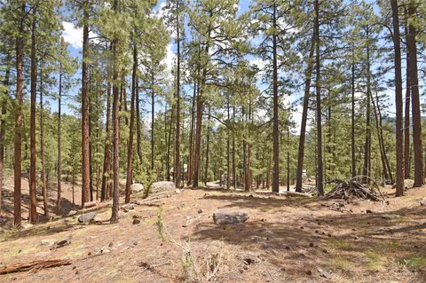 lot6 A Cool Pnes, Jemez Springs, NM 87025