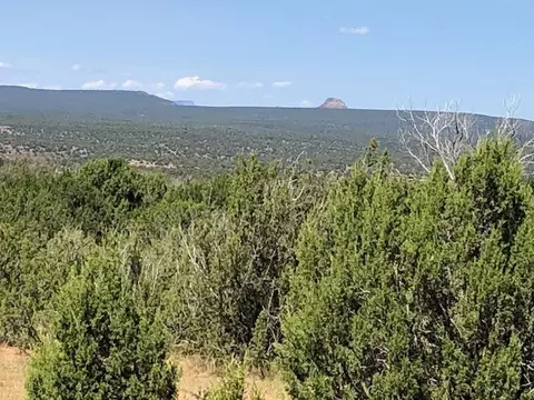 1226 Cr B28a, Villanueva, NM 87583