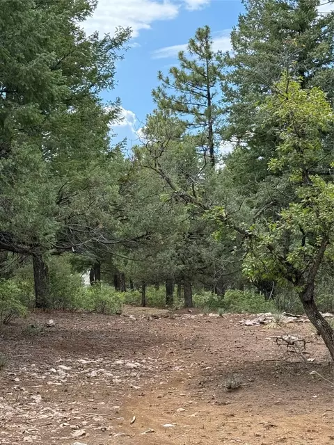 4 Lakeview Drive, Chama, NM 87520