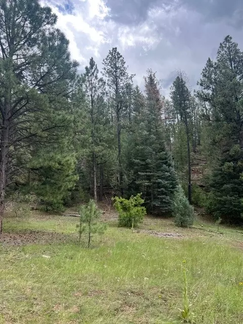 lot D- 18561 Acres In El Macho Cyn, Pecos, NM 87552