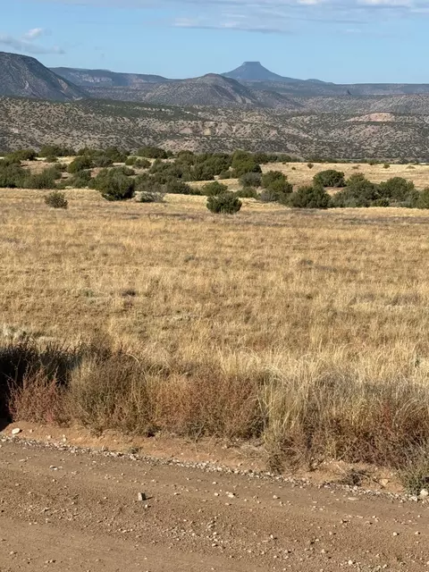 tbd Lot 28 Lakewood Dr, Medanales, NM 87548