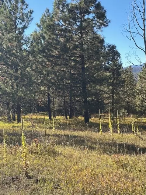 lot F-2 Section 212024 Acres In El Macho Canyo, Pecos, NM 87552