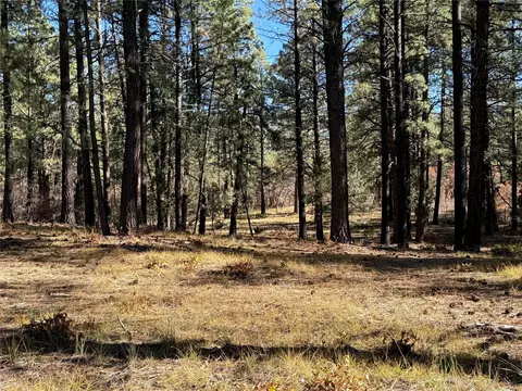 0 Venado, Chama, NM 87575