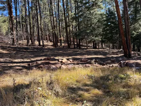 tbd Brazos Lodge Spruce, Chama, NM 87520