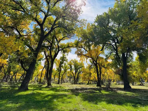 1459 N Nm 173, Navajo Dam, NM 87419