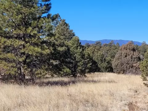 59 Silver Feather Trl, Pecos, NM 87552