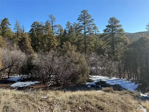 0 Unit 1 Tr-9b Ponderosa, Chama, NM 87520