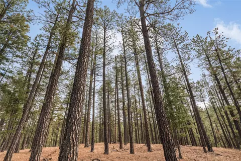 lot9 Corte Molina, Rociada, NM 87742