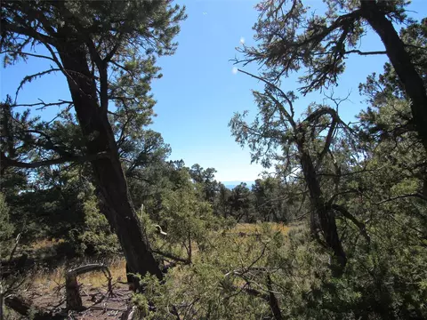 lot57 Servilleta, Tres Piedras, NM 87577