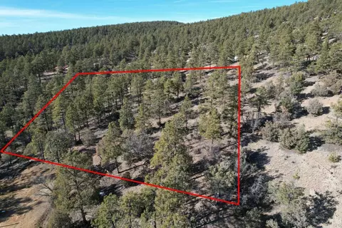 0 Elk Dr, Tierra Amarilla, NM 87575