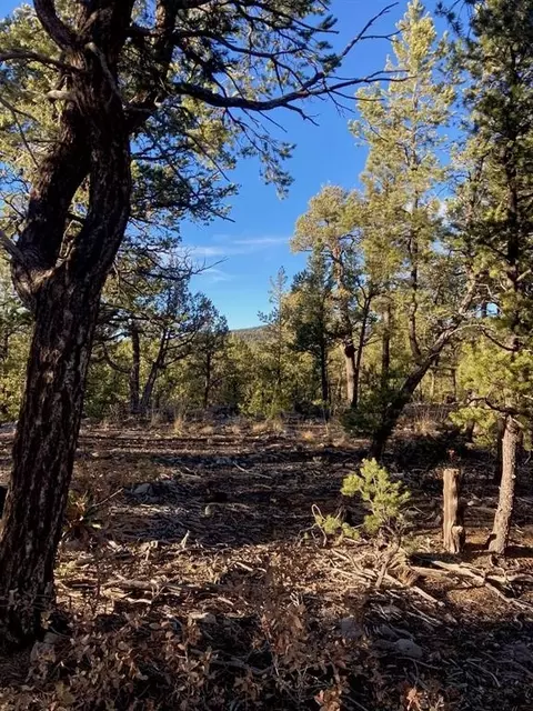 N/a Los Nidos Lane, Pecos, NM 87552
